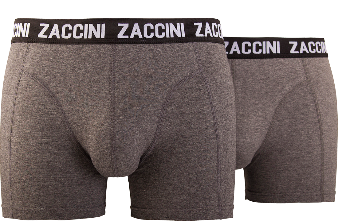 Zaccini heren boxershort 2-pack uni Grijs