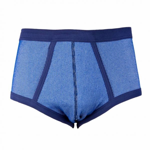 Beeren Heren Slip M2000 (blauwe streep)